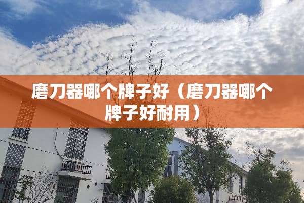 磨刀器哪个牌子好（磨刀器哪个牌子好耐用）