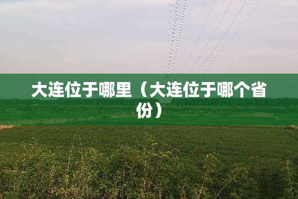 大连位于哪里（大连位于哪个省份）