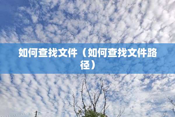 如何查找文件（如何查找文件路径）