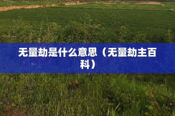 无量劫是什么意思（无量劫主百科）
