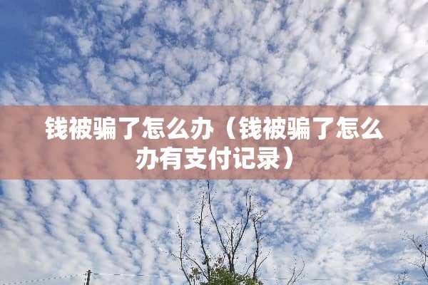 钱被骗了怎么办（钱被骗了怎么办有支付记录）