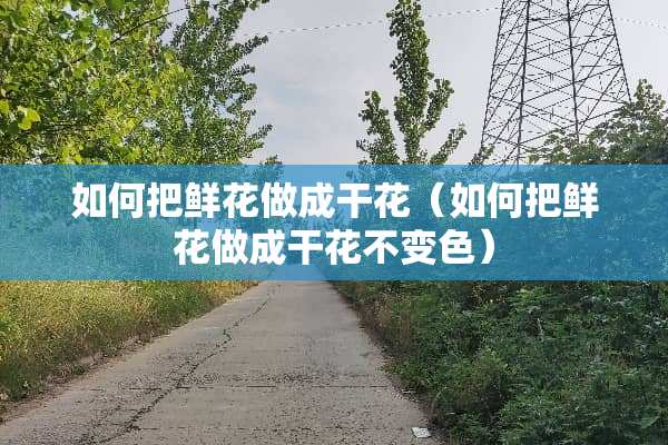 如何把鲜花做成干花（如何把鲜花做成干花不变色）
