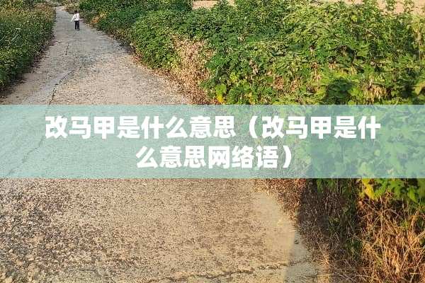 改马甲是什么意思（改马甲是什么意思网络语）