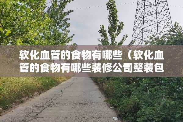 软化血管的食物有哪些（软化血管的食物有哪些装修公司整装包括衣柜吗）