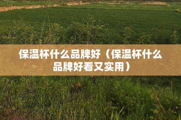 保温杯什么品牌好（保温杯什么品牌好看又实用）