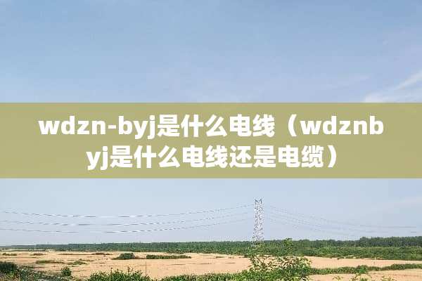wdzn-byj是什么电线（wdznbyj是什么电线还是电缆）