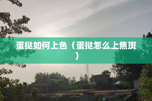 蛋挞如何上色（蛋挞怎么上焦斑）