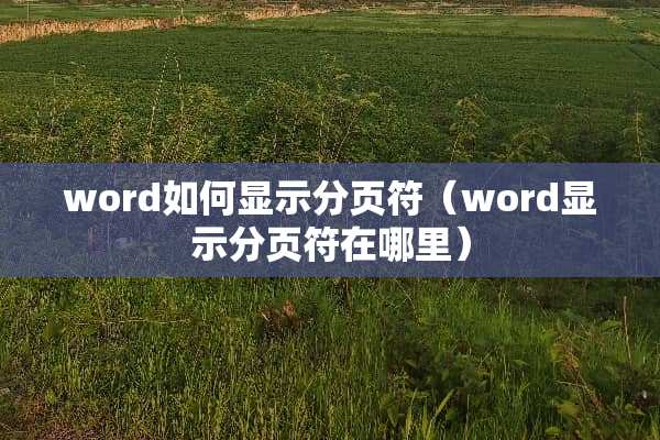 word如何显示分页符（word显示分页符在哪里）