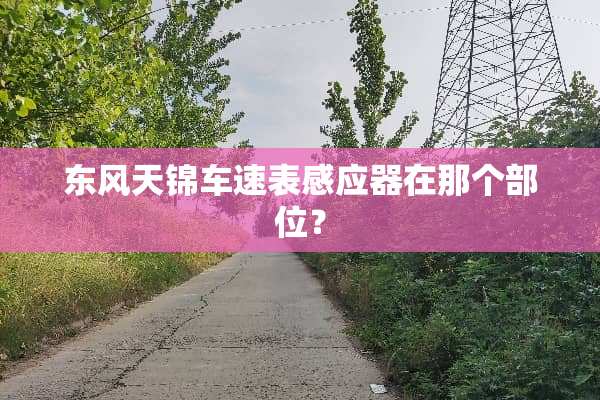 东风天锦车速表感应器在那个部位？