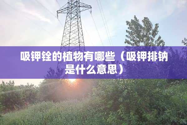 吸钾铨的植物有哪些（吸钾排钠是什么意思）