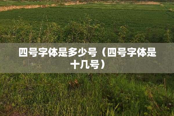 四号字体是多少号（四号字体是十几号）