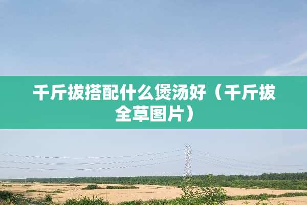 千斤拔搭配什么煲汤好（千斤拔全草图片）