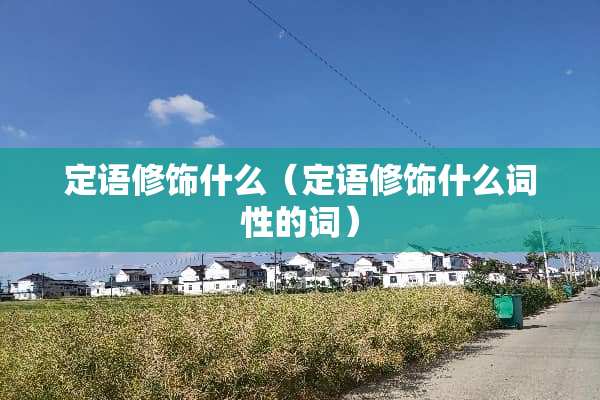 定语修饰什么（定语修饰什么词性的词）