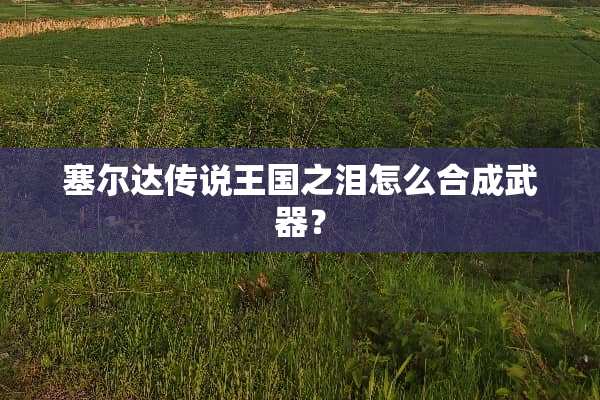 塞尔达传说王国之泪怎么合成**？