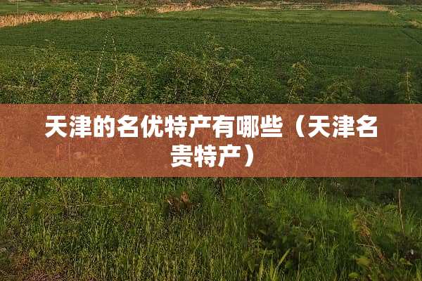 天津的名优特产有哪些（天津名贵特产）