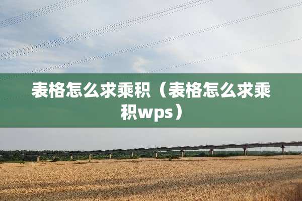 表格怎么求乘积（表格怎么求乘积wps）