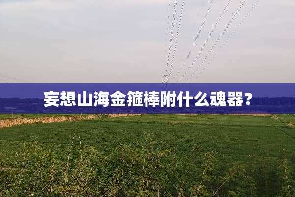 妄想山海金箍棒附什么魂器？