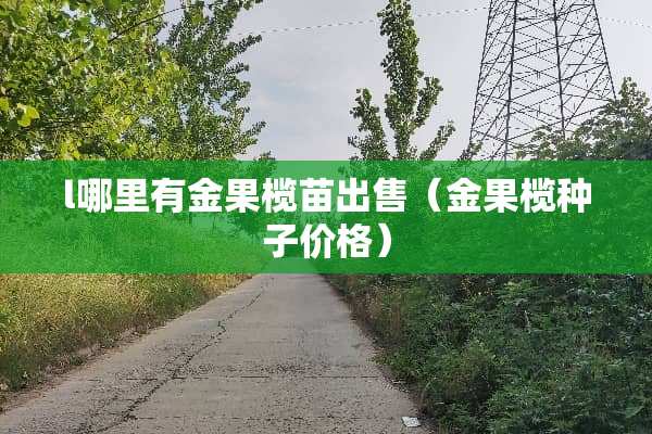 l哪里有金果榄苗出售（金果榄种子价格）