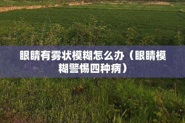 眼睛有雾状模糊怎么办（眼睛模糊警惕四种病）