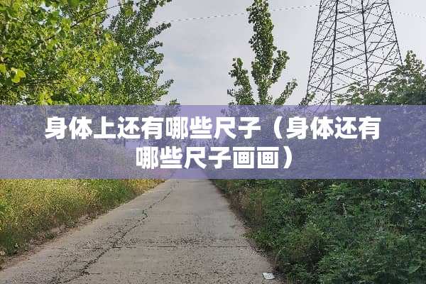 身体上还有哪些尺子（身体还有哪些尺子画画）