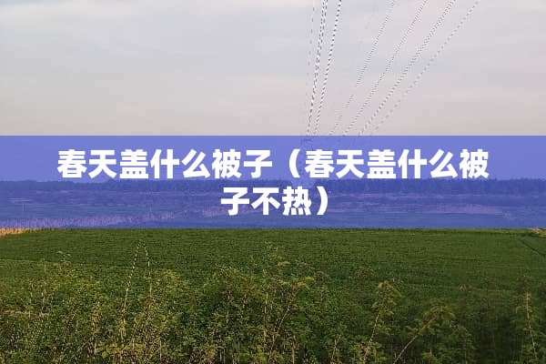 春天盖什么被子（春天盖什么被子不热）