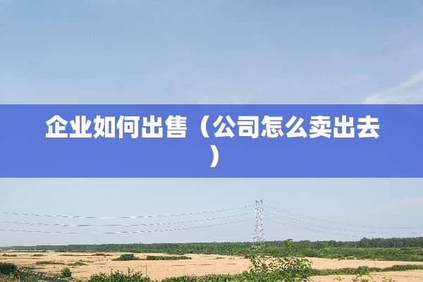企业如何出售（公司怎么卖出去）