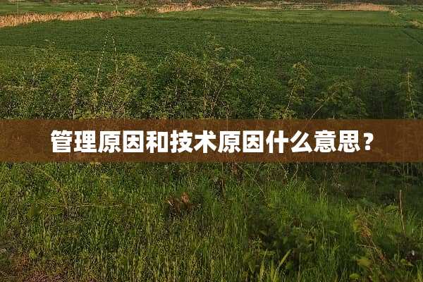 管理原因和技术原因什么意思？