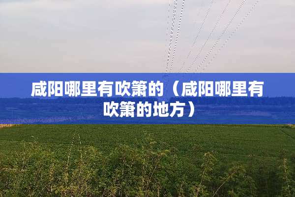 咸阳哪里有吹箫的（咸阳哪里有吹箫的地方）