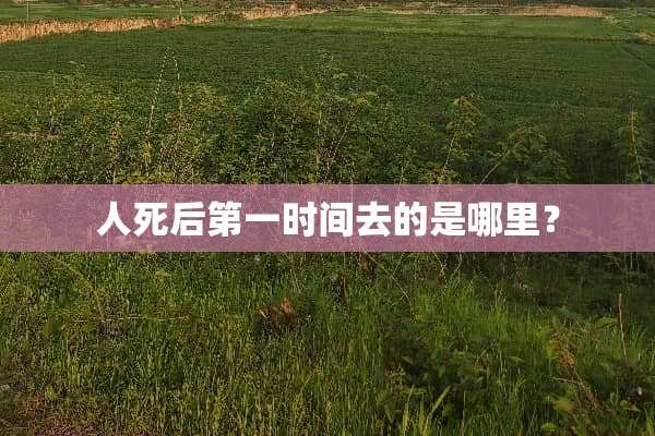 人死后第一时间去的是哪里？