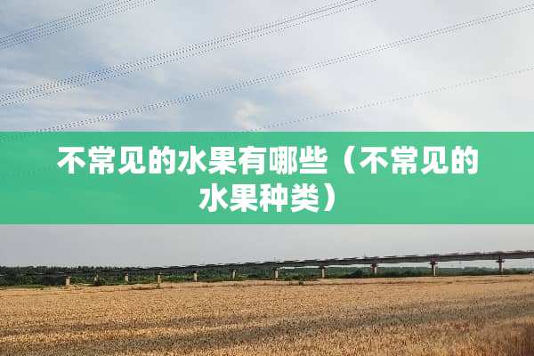不常见的水果有哪些（不常见的水果种类）