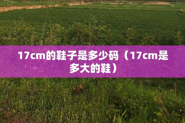 17cm的鞋子是多少码（17cm是多大的鞋）