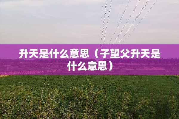 **是什么意思（子望父**是什么意思）