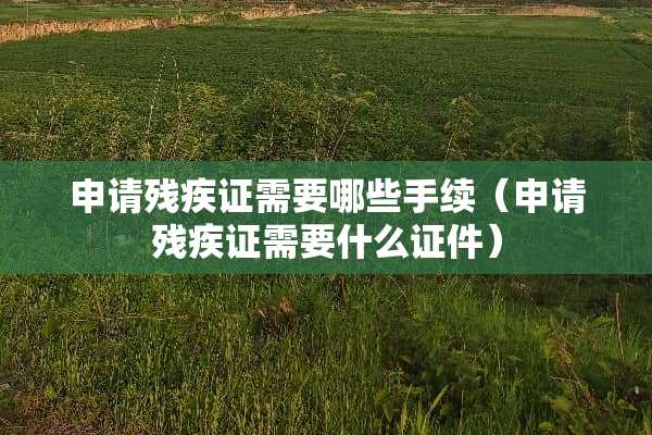 申请残疾证需要哪些手续（申请残疾证需要什么**）