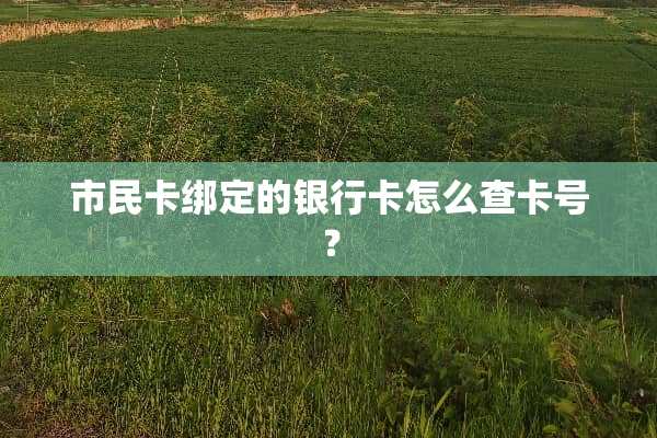 市民卡绑定的***怎么查卡号？