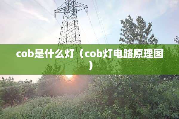 cob是什么灯（cob灯电路原理图）