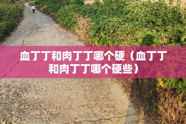 血丁丁和肉丁丁哪个硬（血丁丁和肉丁丁哪个硬些）