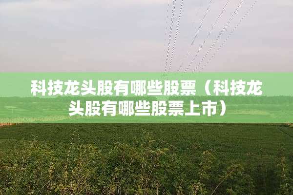 科技龙头股有哪些股票（科技龙头股有哪些股票上市）
