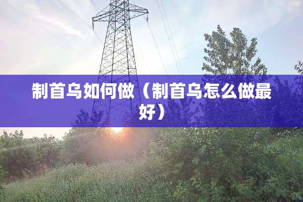 制首乌如何做（制首乌怎么做最好）