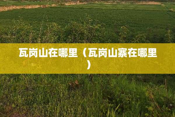 瓦岗山在哪里（瓦岗山寨在哪里）
