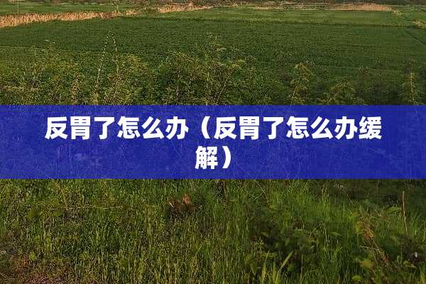 反胃了怎么办（反胃了怎么办缓解）