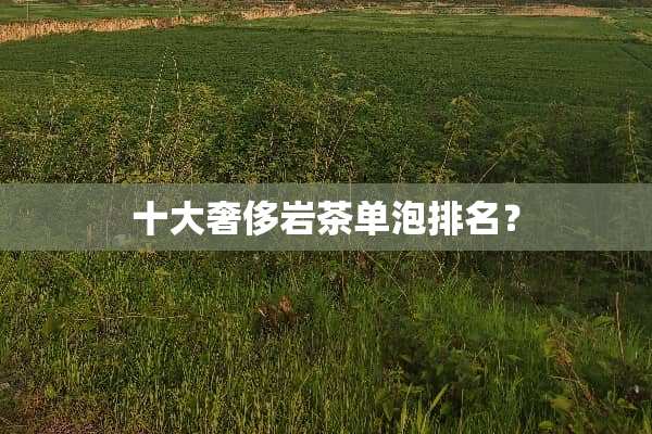 十大奢侈岩茶单泡排名？