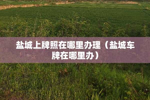 盐城上牌照在哪里办理（盐城车牌在哪里办）