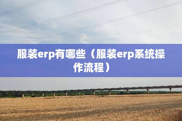 服装erp有哪些（服装erp系统操作流程）