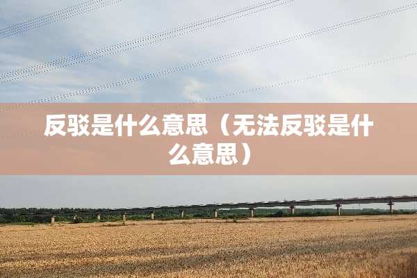 反驳是什么意思（无法反驳是什么意思）