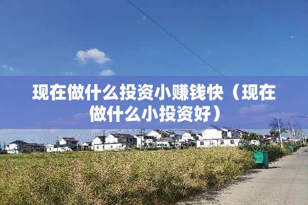现在做什么投资小赚钱快（现在做什么小投资好）