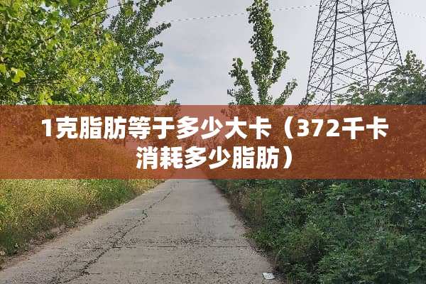1克脂肪等于多少大卡（372千卡消耗多少脂肪）