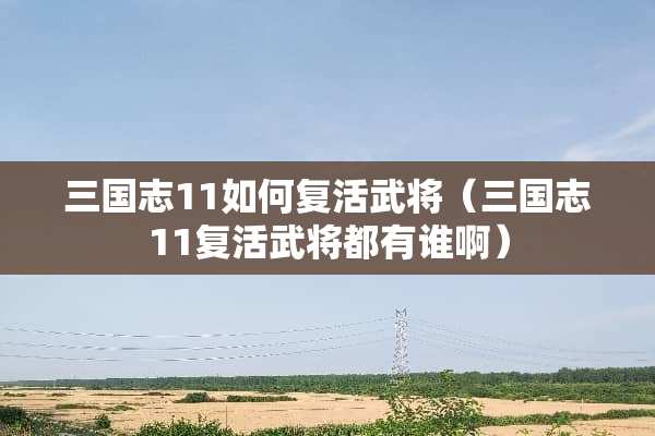 三国志11如何**武将（三国志11**武将都有谁啊）