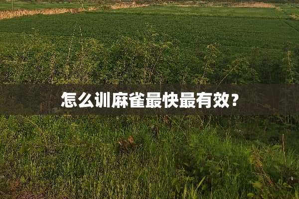 怎么训麻雀最快最有效？