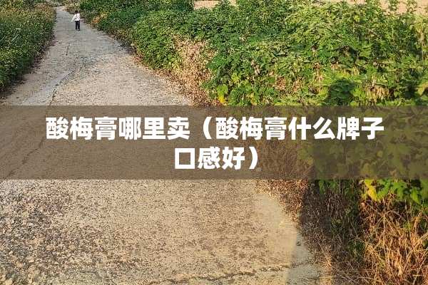 酸梅膏哪里卖（酸梅膏什么牌子口感好）