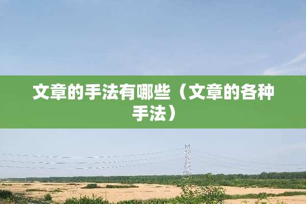 文章的手法有哪些（文章的各种手法）